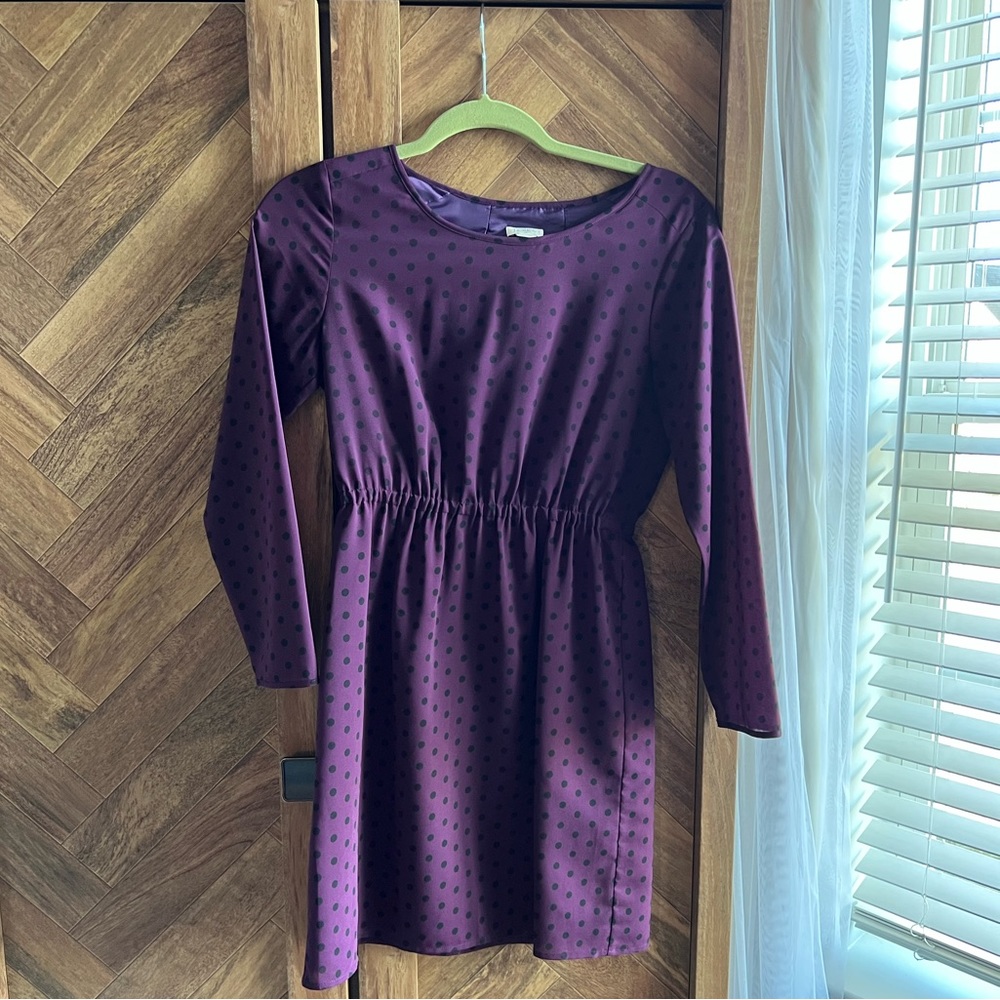J Crew long-sleeved polka dot dress
